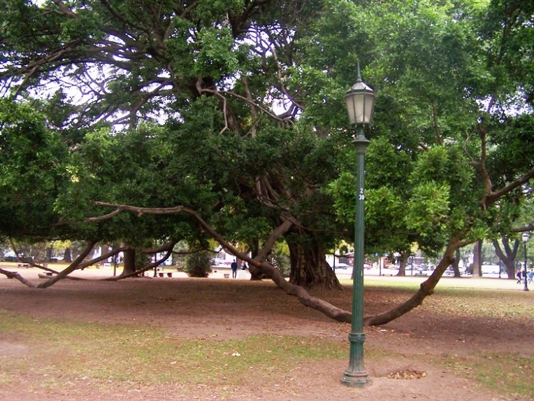 Foto de Buenos Aires, Argentina