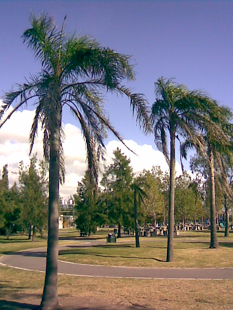 Foto de Buenos Aires, Argentina