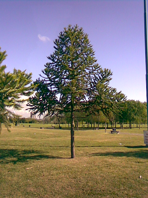 Foto de Buenos Aires, Argentina