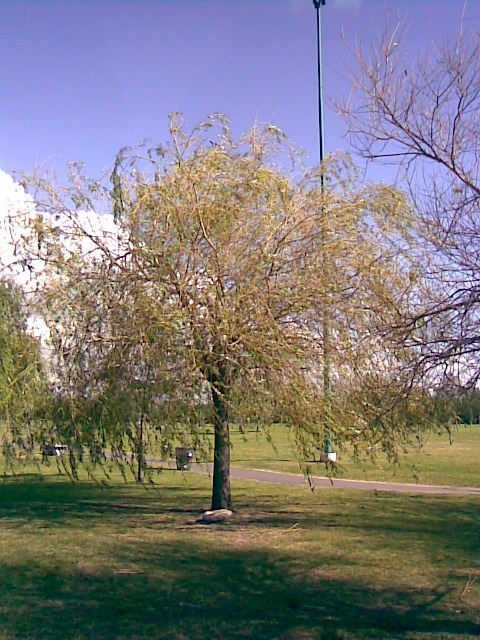 Foto de Buenos Aires, Argentina