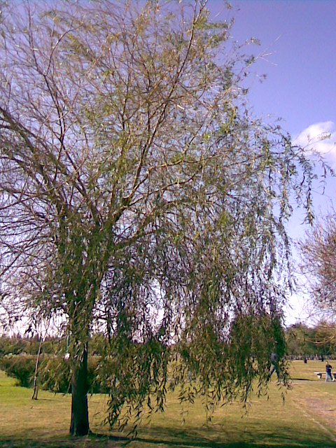 Foto de Buenos Aires, Argentina