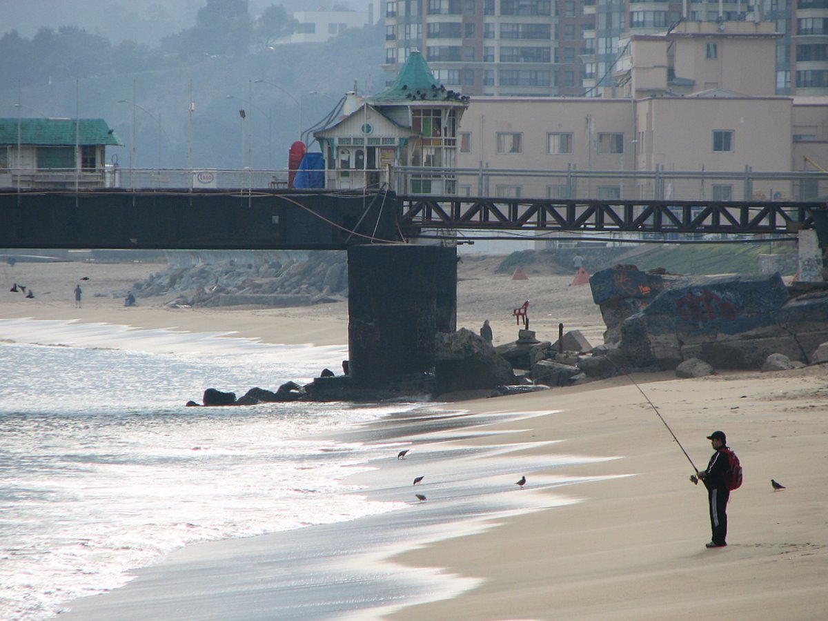 Foto de Viña del Mar, Chile