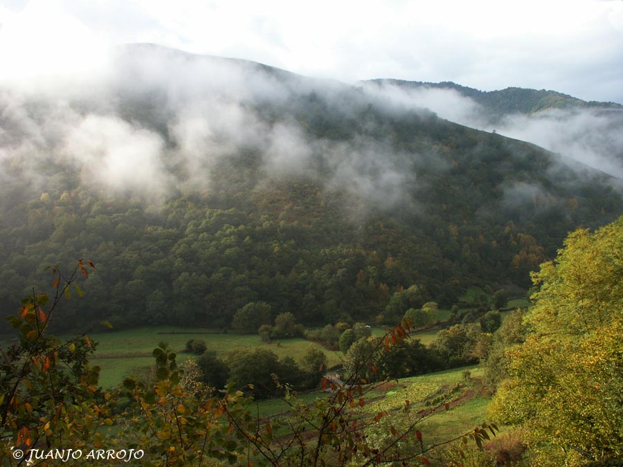 Foto de Cangas del Narcea (Asturias), España