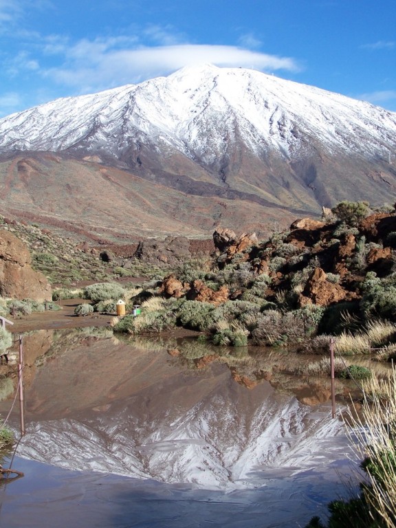 Foto de Tenerife (Santa Cruz de Tenerife), España