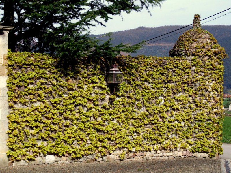 Foto de Las Presillas (Cantabria), España