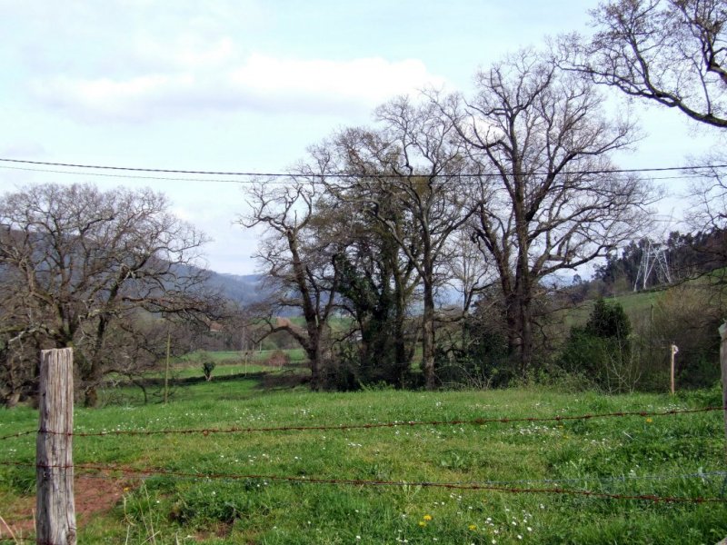 Foto de Las Presillas (Cantabria), España