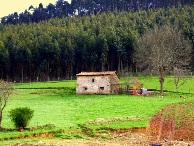 Foto de Las Presillas (Cantabria), España