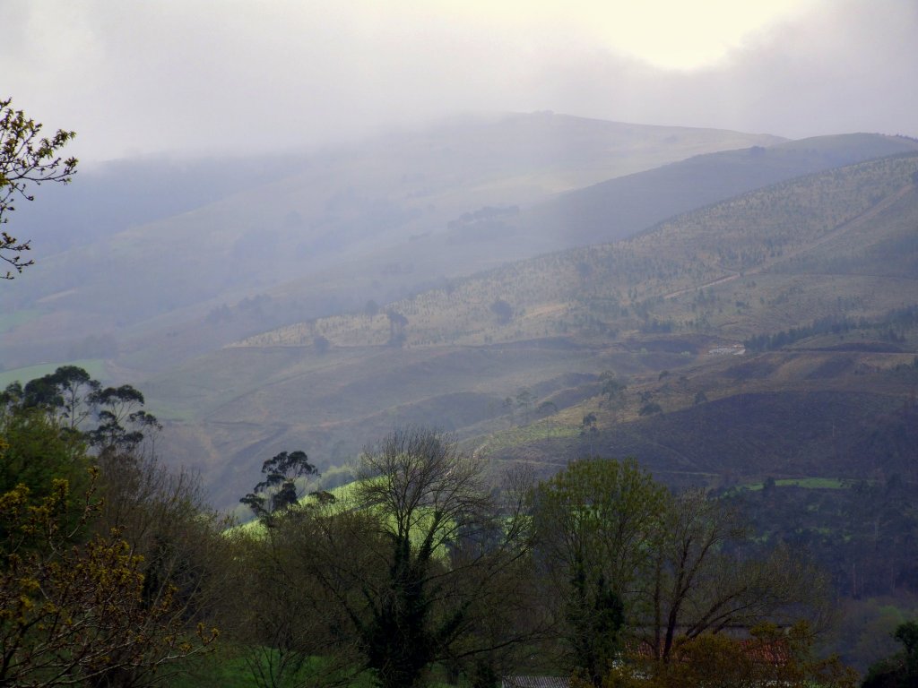 Foto de Llerana de Cayon (Cantabria), España