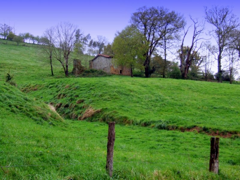 Foto de Llerana de Cayon (Cantabria), España