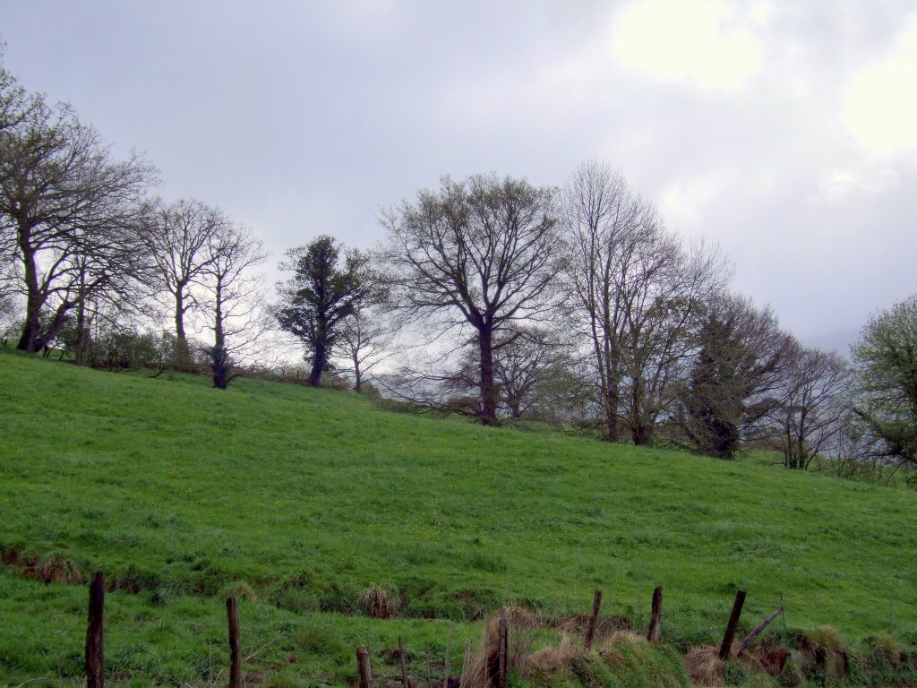 Foto de Llerana de Cayon (Cantabria), España