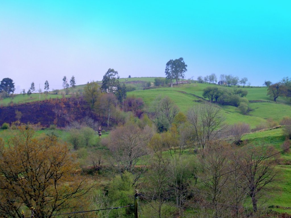 Foto de Llerana de Cayon (Cantabria), España