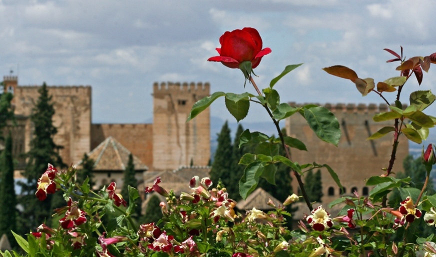 Foto de Granada (Andalucía), España