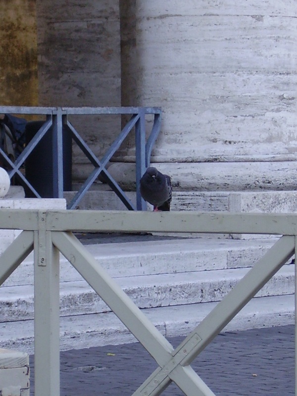 Foto de Vaticano, Italia