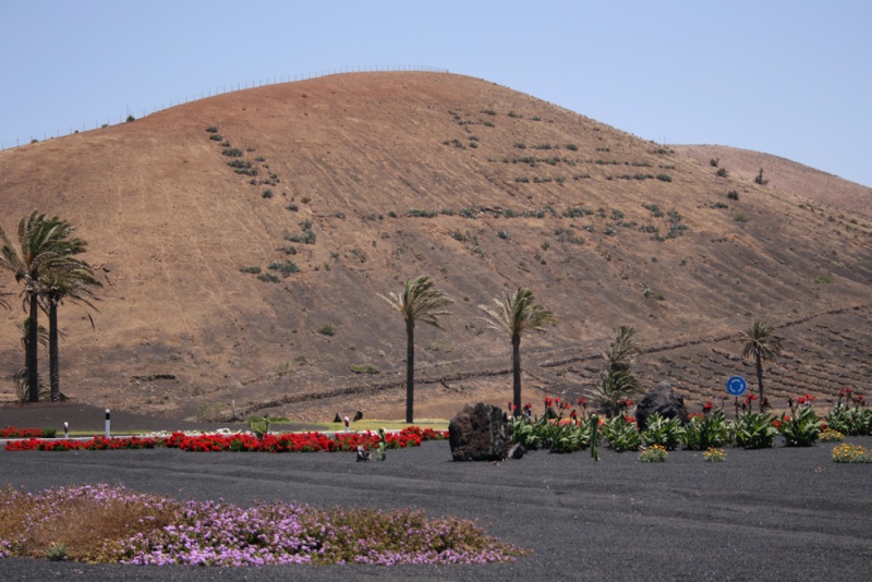 Foto de Lanzarote (Las Palmas), España