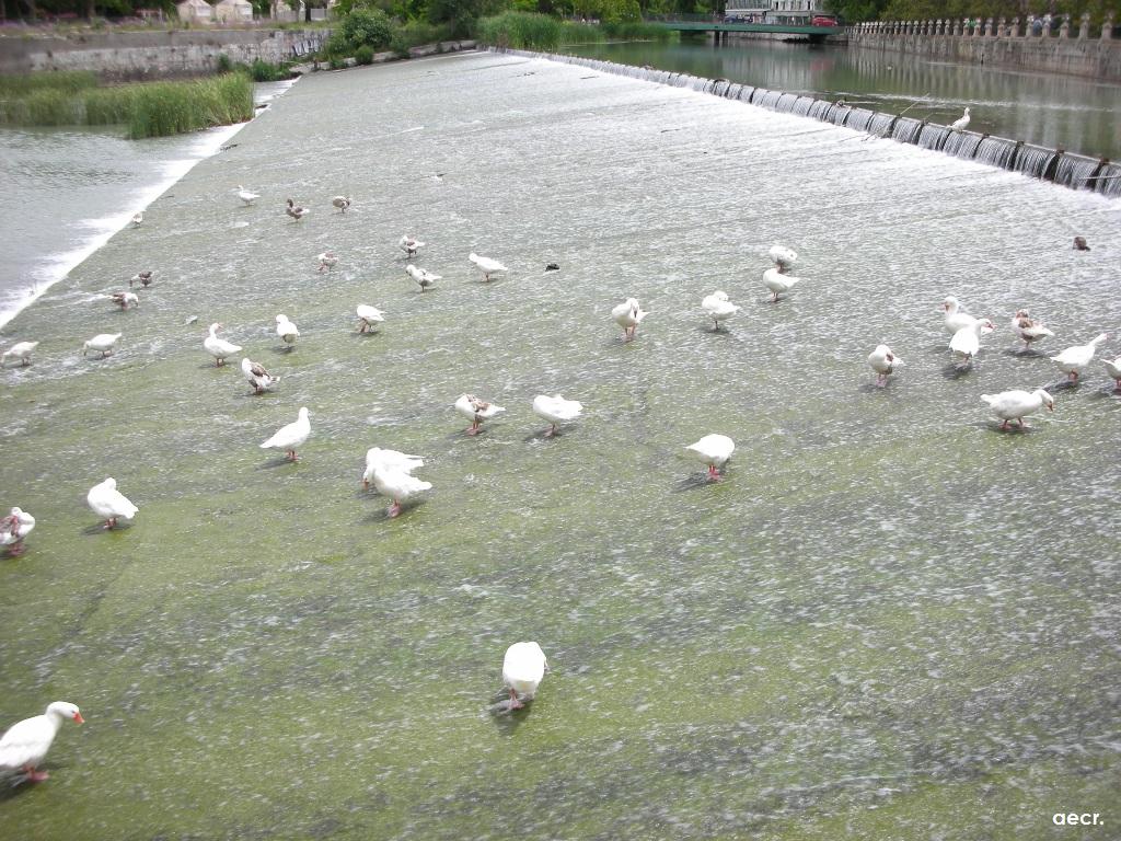 Foto de Aranjuez (Madrid), España