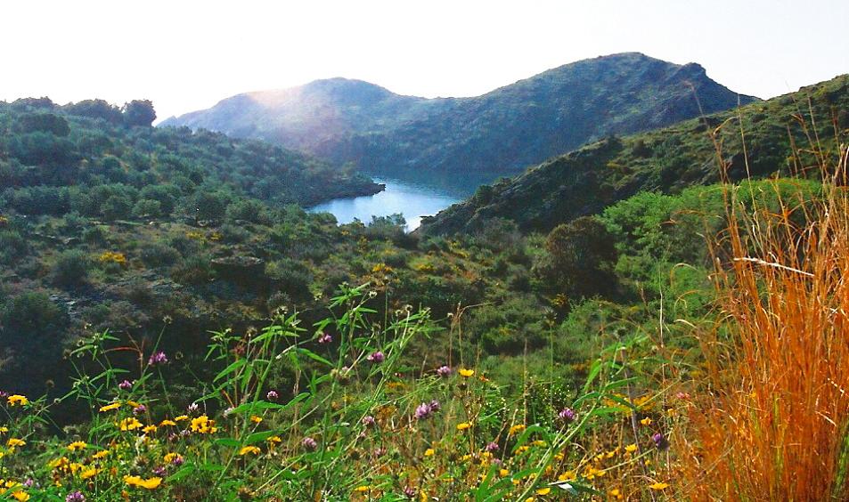 Foto de El Port de la Selva (Girona), España