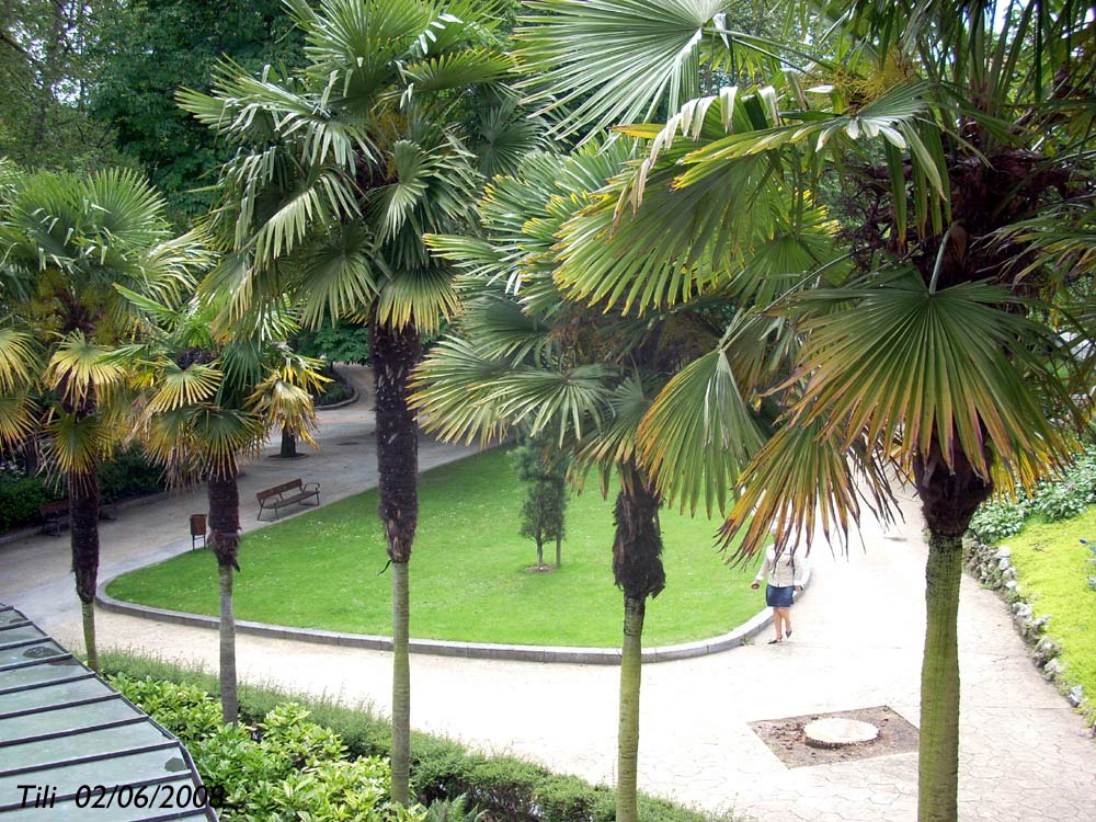 Foto de Oviedo (Asturias), España