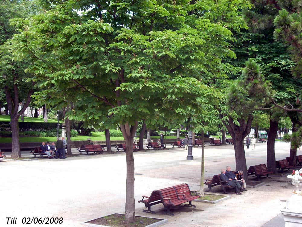 Foto de Oviedo (Asturias), España