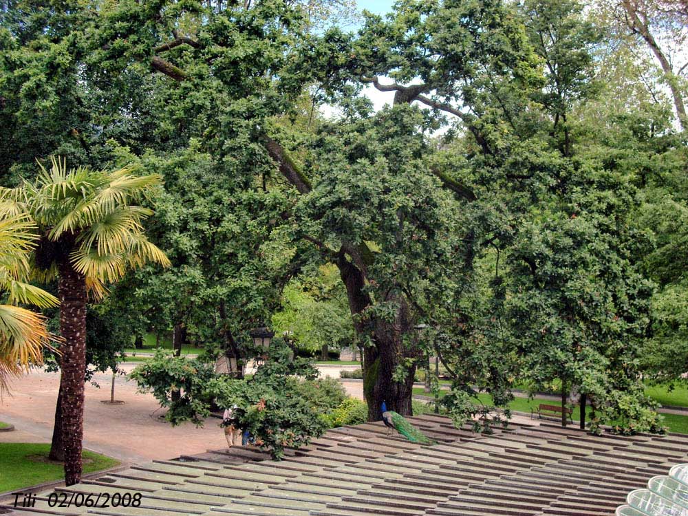 Foto de Oviedo (Asturias), España