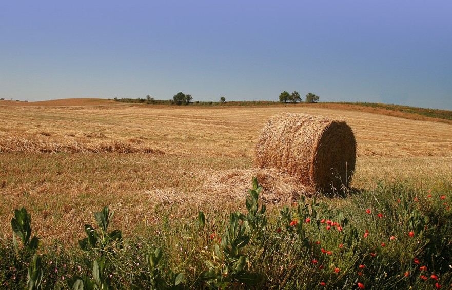 Foto de Burgos (Castilla y León), España