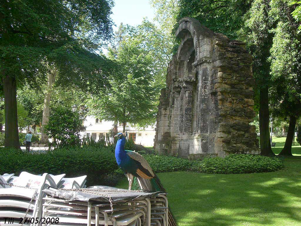 Foto de Oviedo (Asturias), España