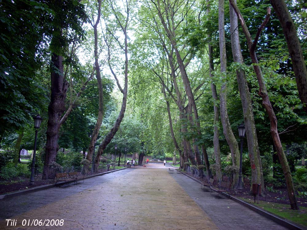 Foto de Oviedo (Asturias), España