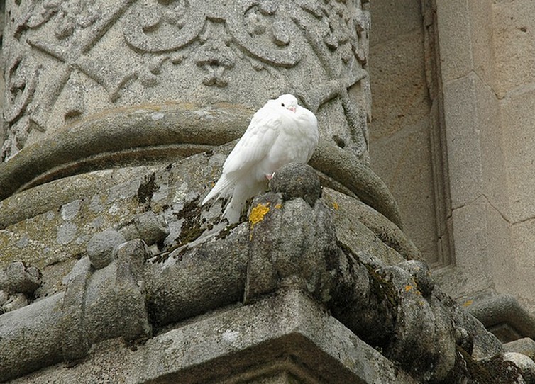 Foto de Santiago de Compostela (A Coruña), España