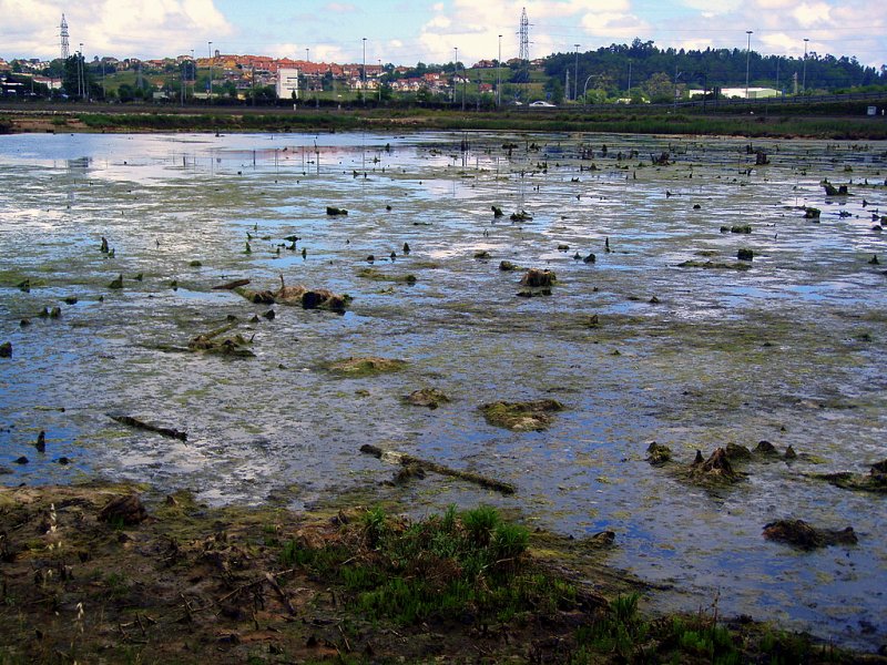 Foto de Astillero (Cantabria), España