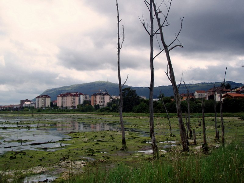 Foto de Astillero (Cantabria), España