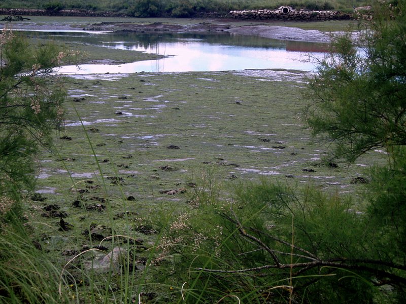 Foto de Astillero (Cantabria), España