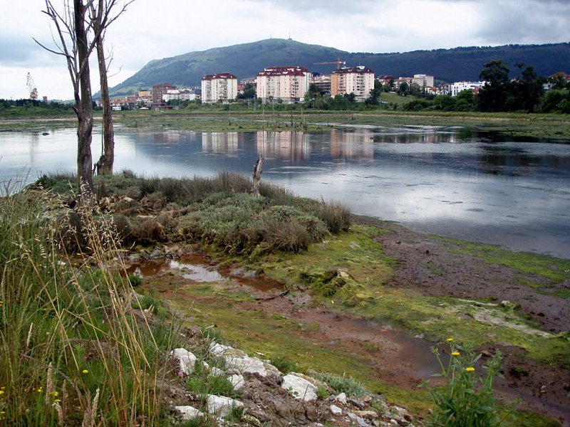 Foto de Astillero (Cantabria), España