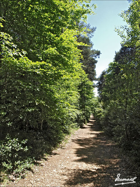 Foto de Botaya (Huesca), España