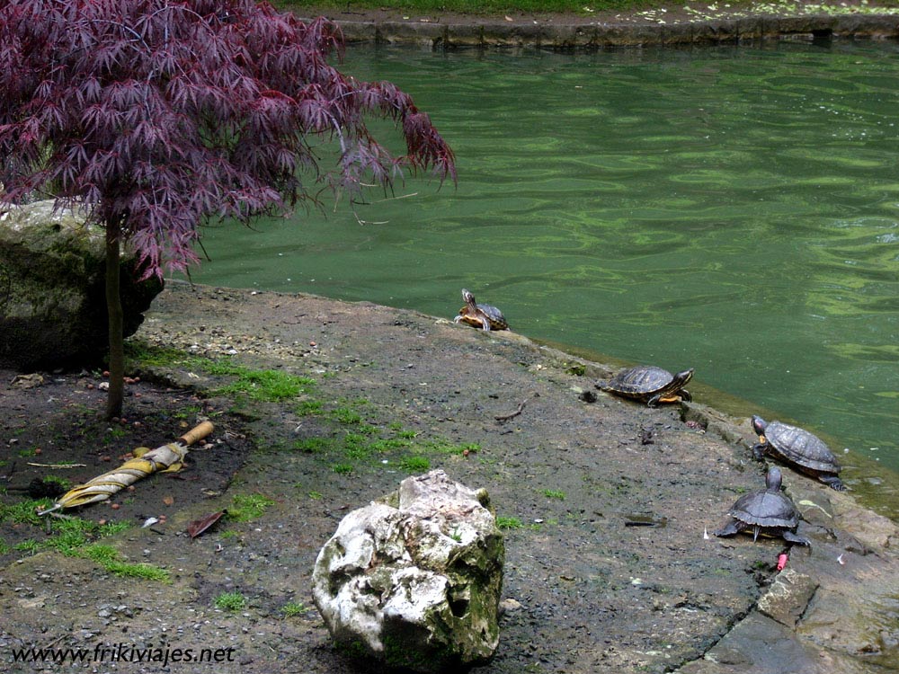 Foto de Oviedo (Asturias), España