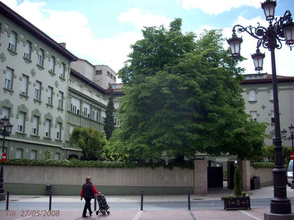 Foto de Oviedo (Asturias), España