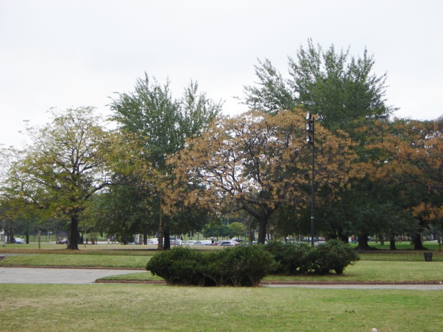 Foto de Buenos Aires, Argentina