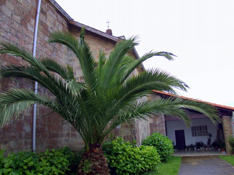 Foto de Escobedo de Camargo (Cantabria), España