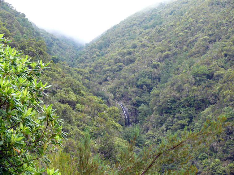 Foto de Madeira, Portugal