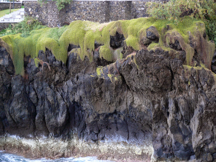 Foto de Madeira, Portugal