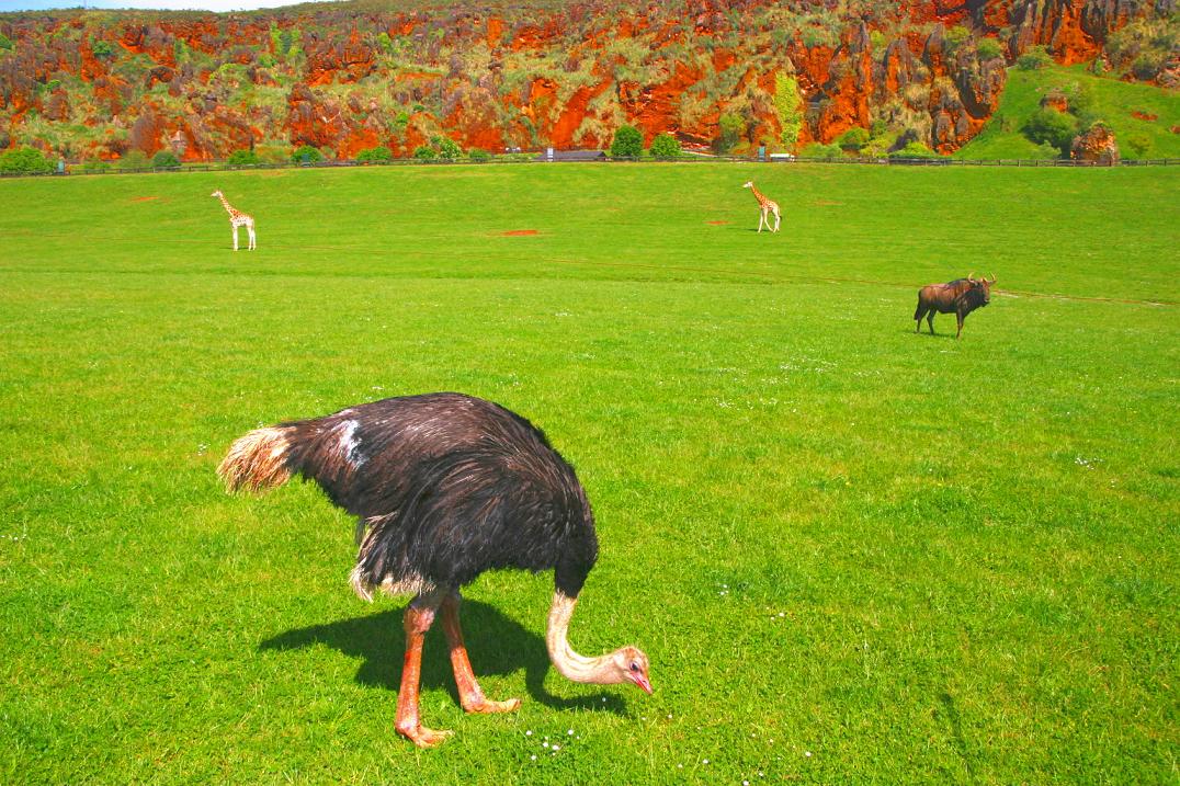 Foto de Cabárceno (Cantabria), España