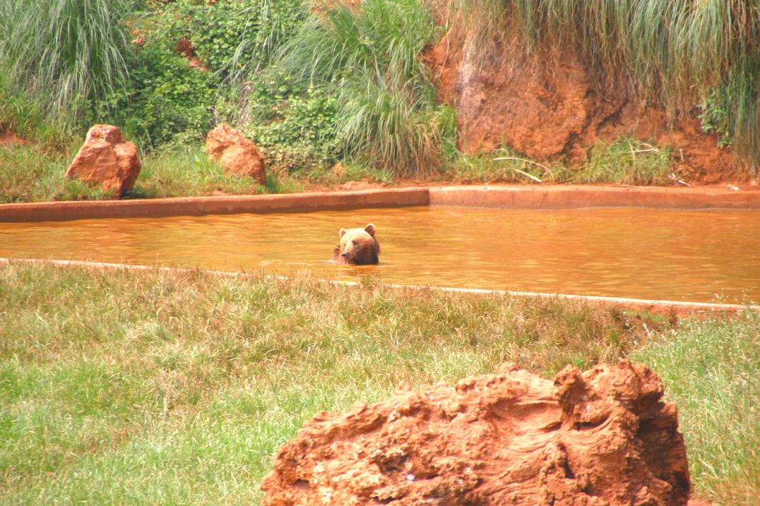 Foto de Cabárceno (Cantabria), España