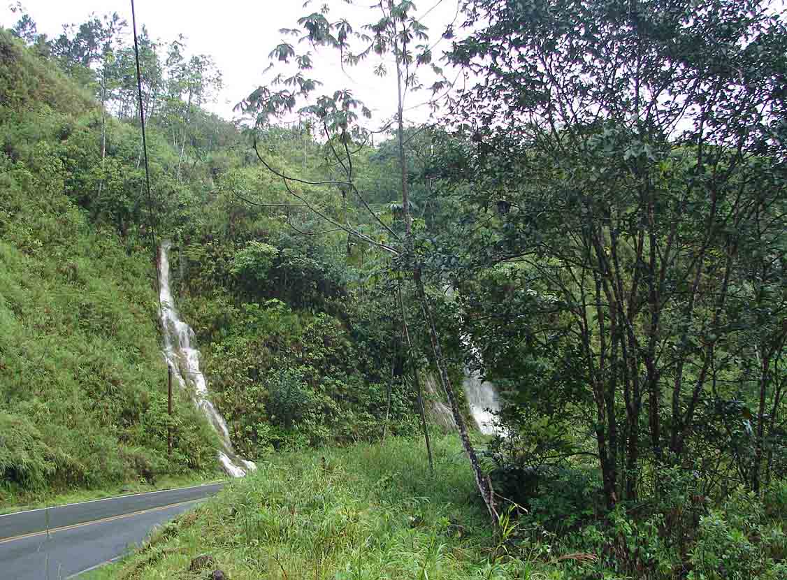 Foto de San Ramon - Alajuela, Costa Rica