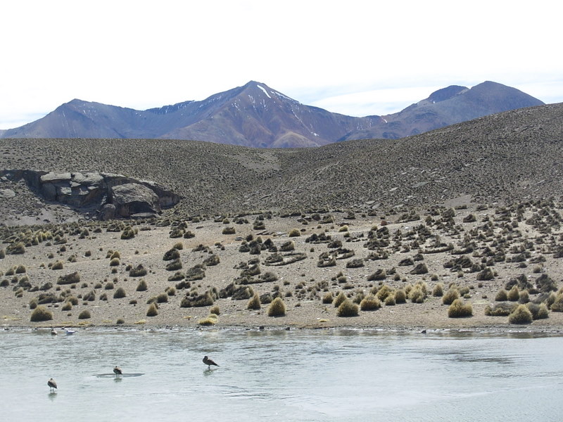 Foto de Arica (Altiplano), Chile