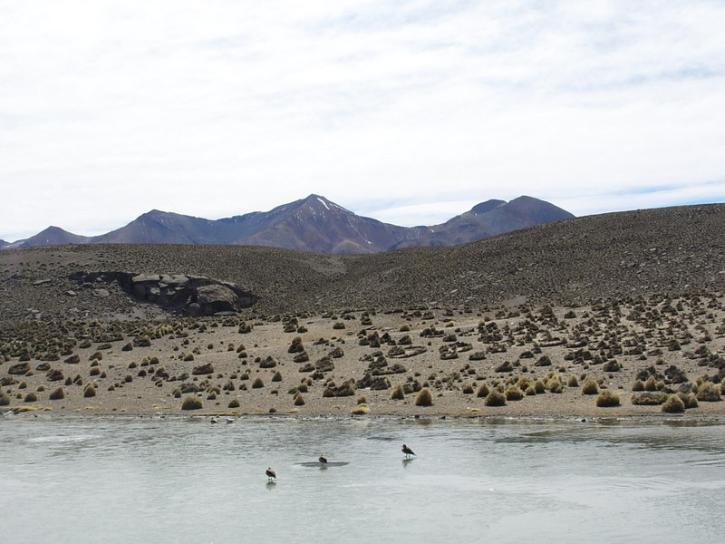 Foto de Arica (Altiplano), Chile