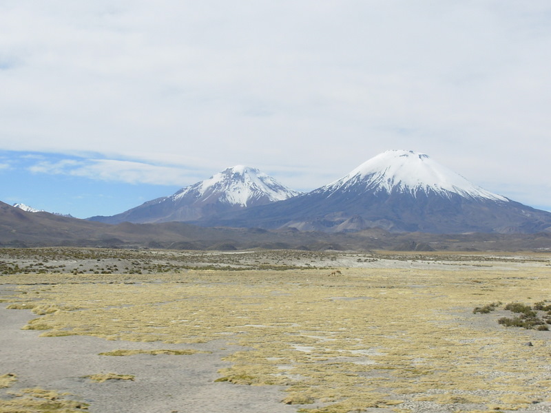 Foto de Arica (Altiplano), Chile