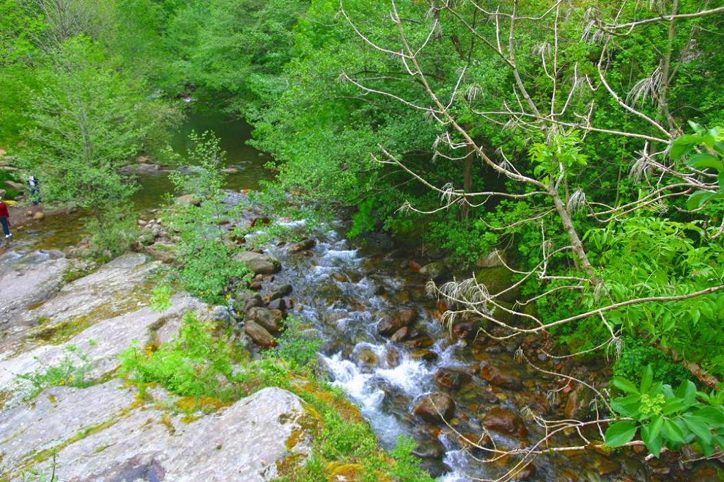 Foto de Bárcena Mayor (Cantabria), España