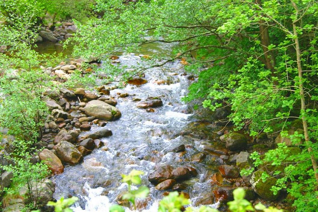 Foto de Bárcena Mayor (Cantabria), España