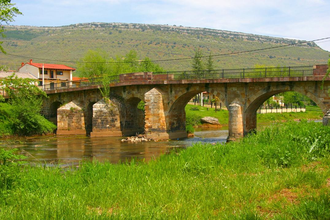 Foto de San Martín de Elines (Cantabria), España