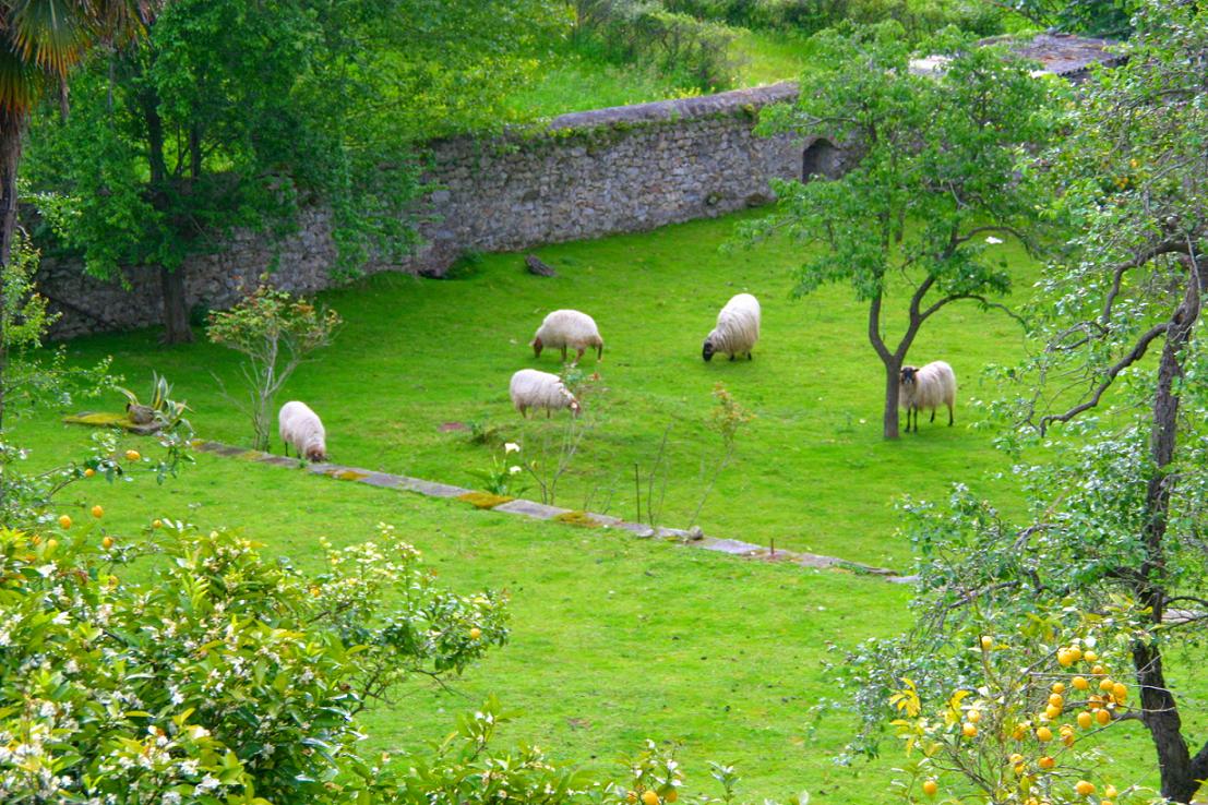 Foto de Riocorvo (Cantabria), España