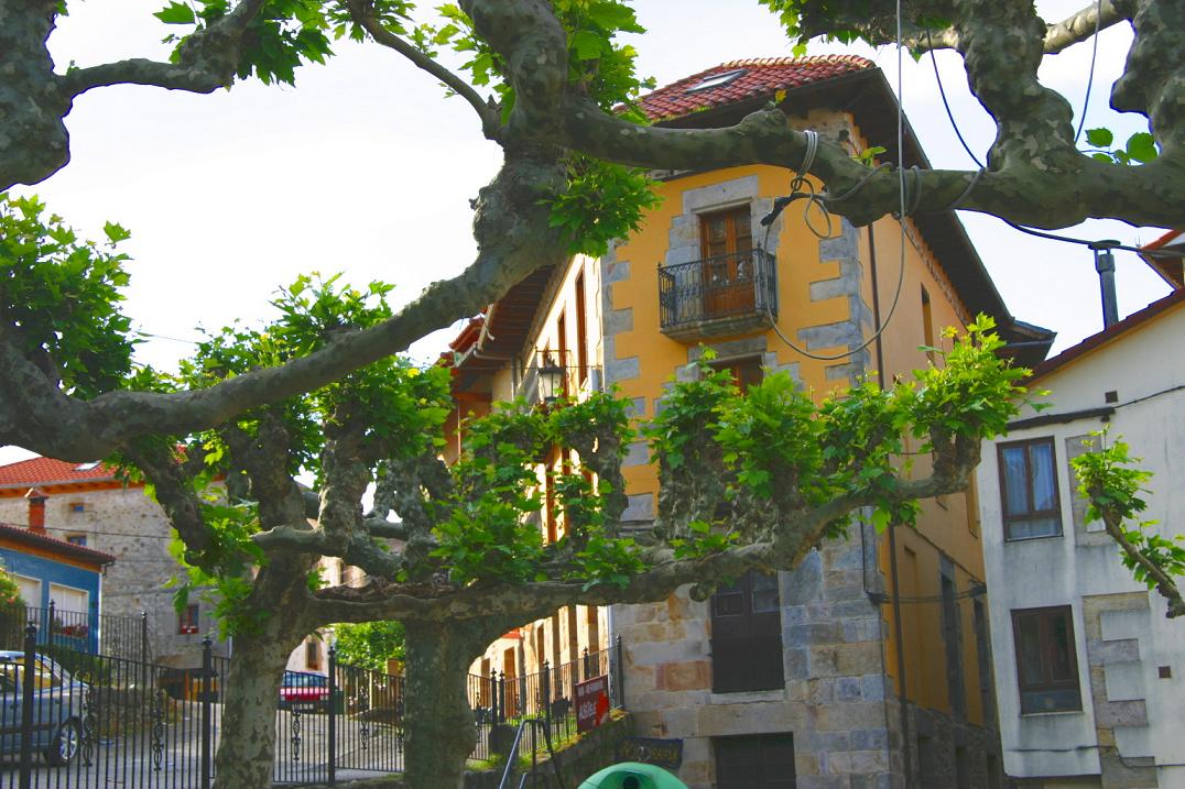 Foto de Selaya (Cantabria), España