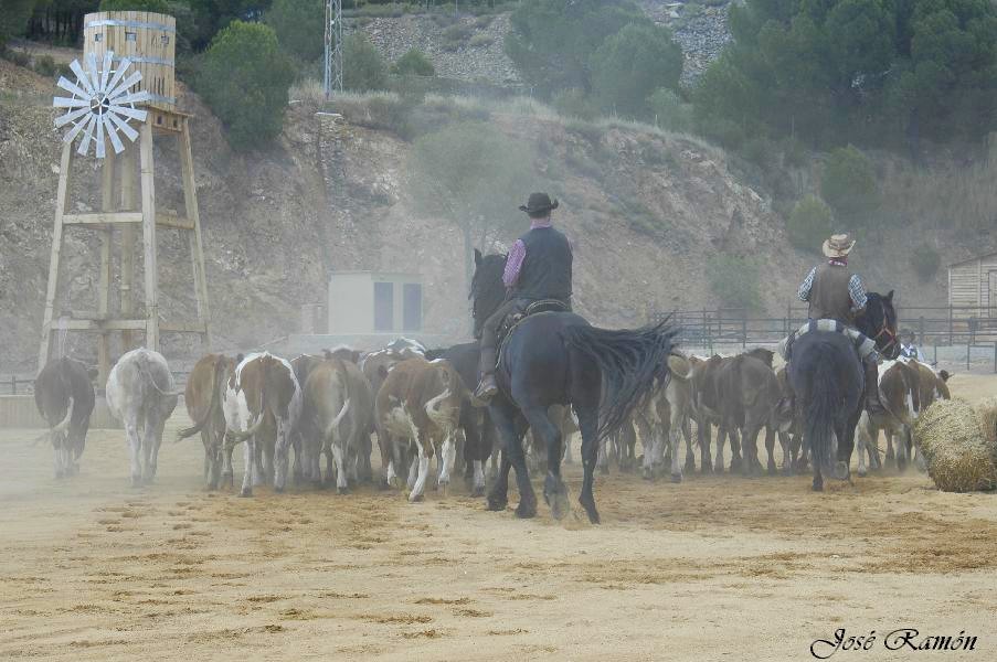 Foto de Sevilla (Andalucía), España